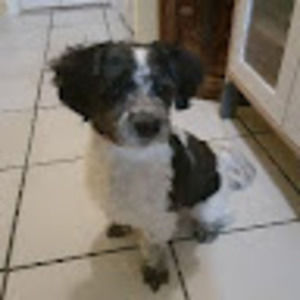 Meet your Posher, Diego